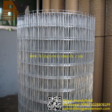 Heavy Hot-Dipped Galvanized Welded Wire Mesh